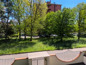 IMG 20240304 000958